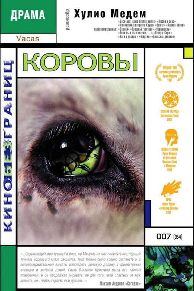 Коровы