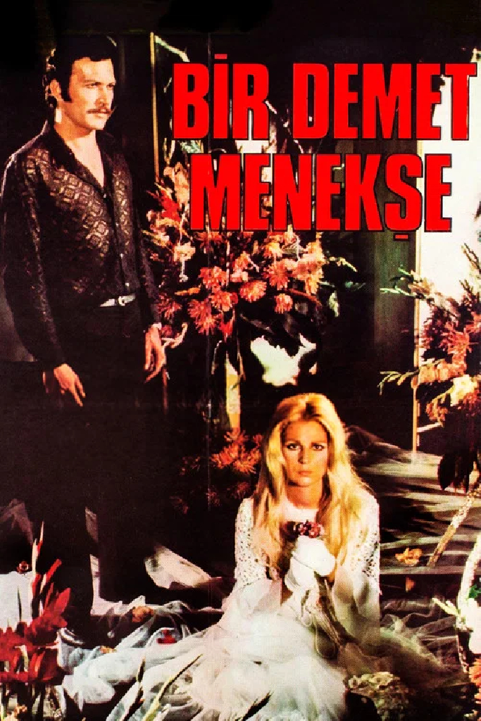 Bir Demet Menekşe