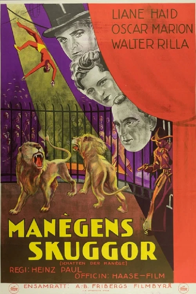 Schatten der Manege