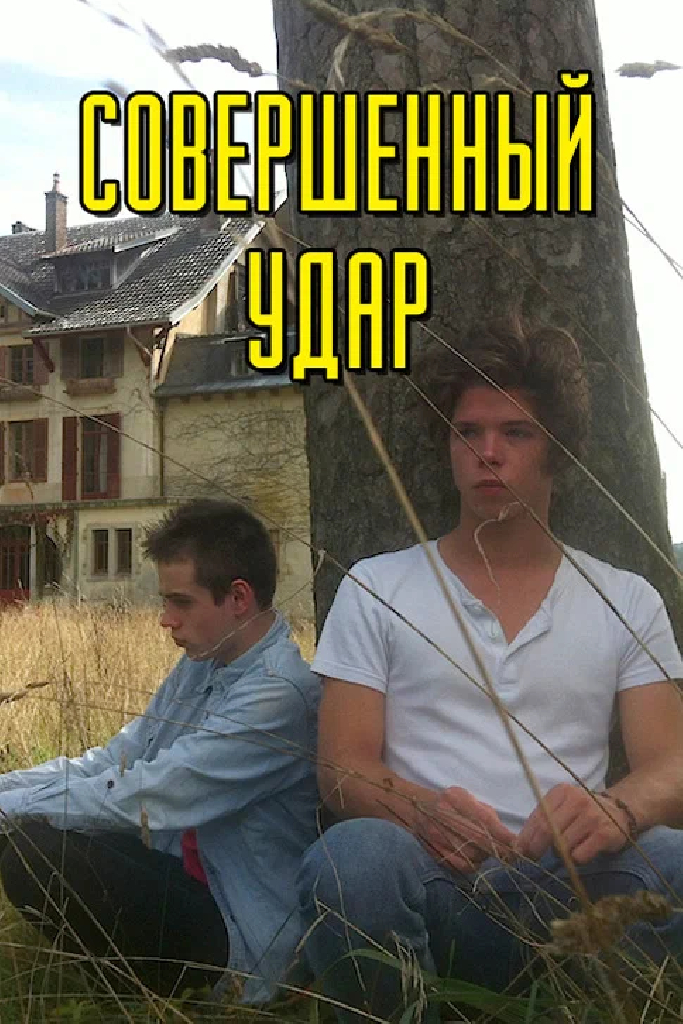 Совершенный удар