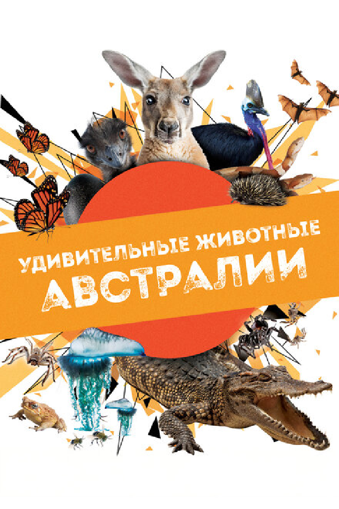 Удивительные животные Австралии