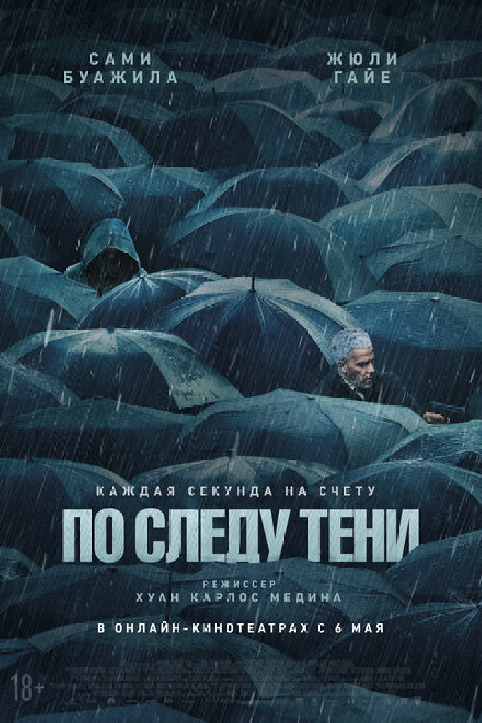 По следу тени
