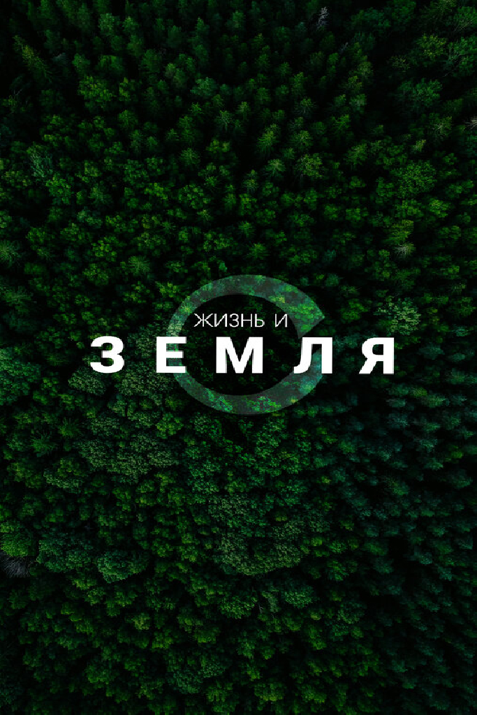 Жизнь и Земля