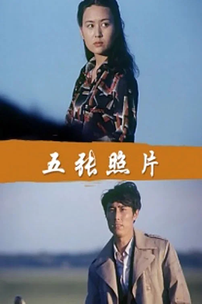 五张照片