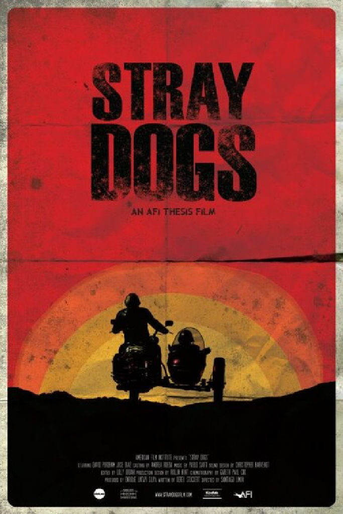 Stray Dogs