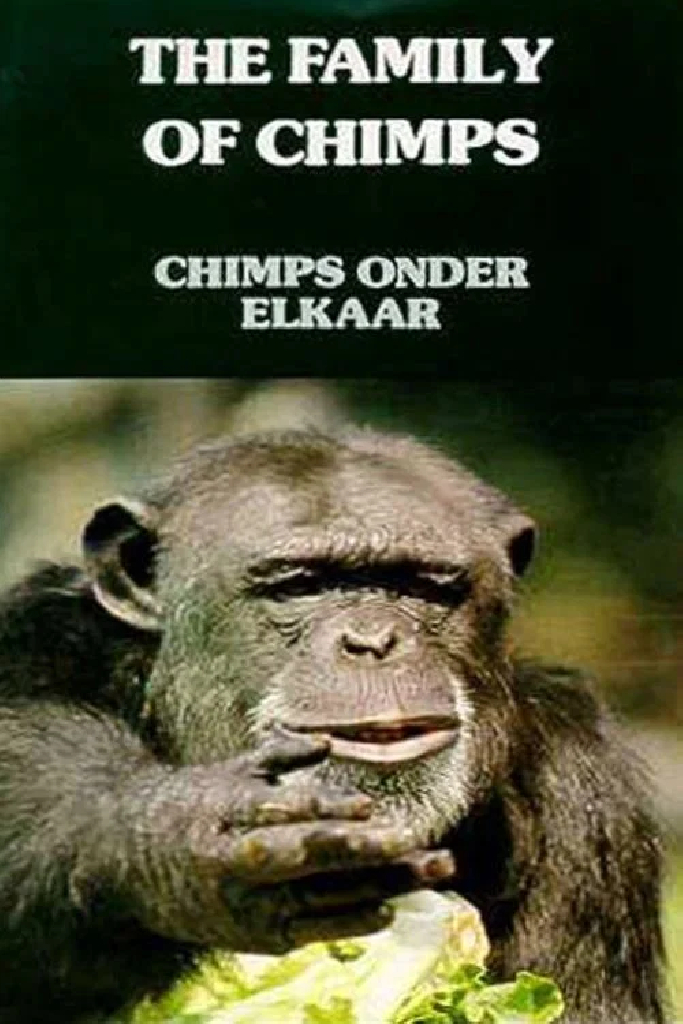 Chimps Onder Elkaar