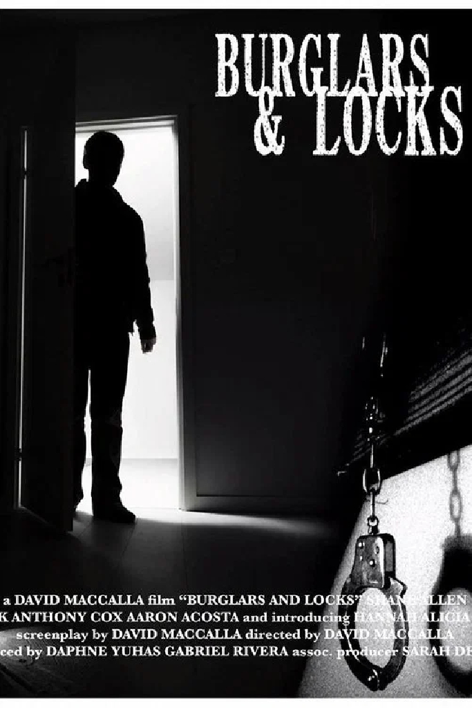 Burglars & Locks
