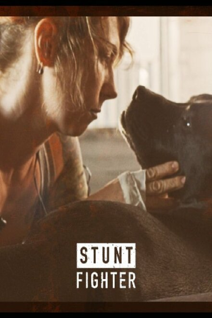 Stunt Fighter