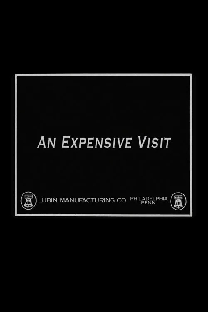 An Expensive Visit