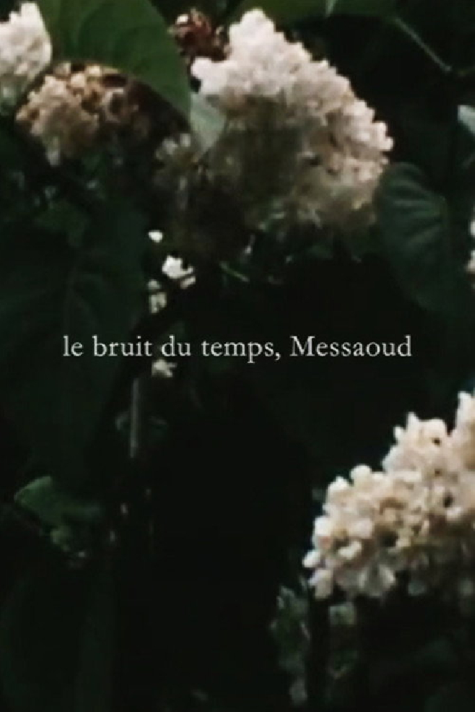 Le bruit du temps, Messaoud