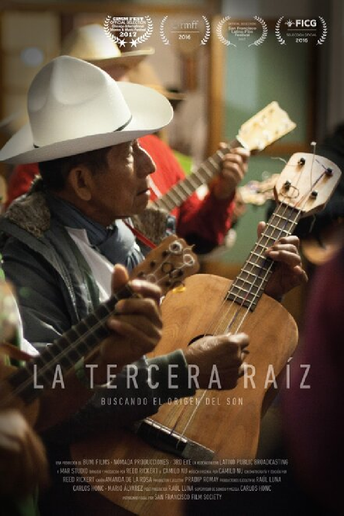 La tercera raíz: buscando el origen del son