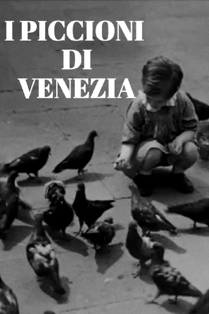 I piccioni di Venezia