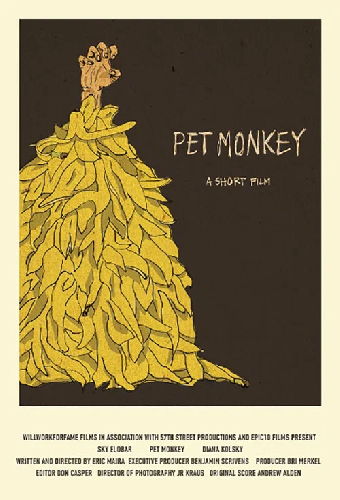 Pet Monkey