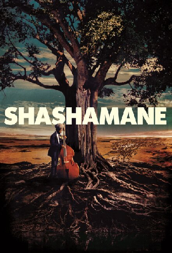 Shashamane