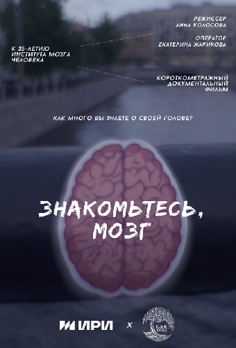 Знакомьтесь, мозг