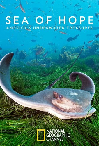Sea of Hope: America's Underwater Treasures
