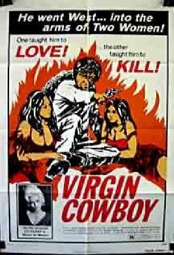 Virgin Cowboy
