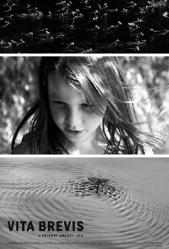 Жизнь коротка
