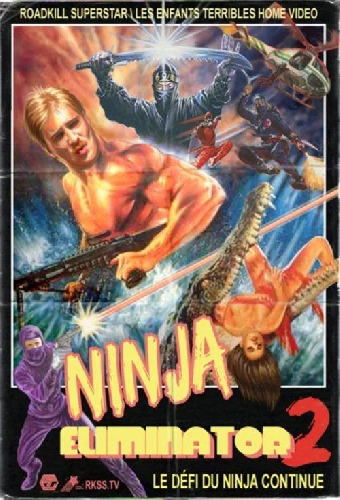 Ninja Eliminator 2: Quest of the Magic Ninja Crystal