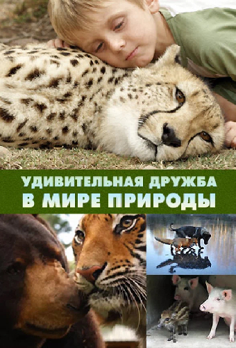 Удивительная дружба в мире природы