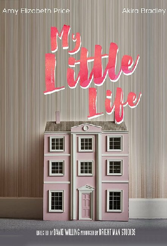 My Little Life