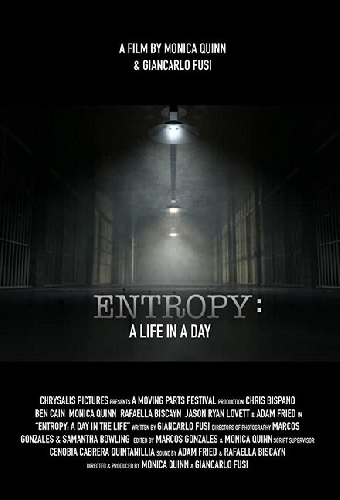 Entropy: A Day in a Life