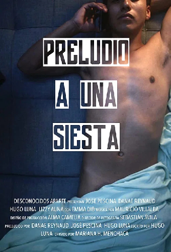 Preludio a una Siesta