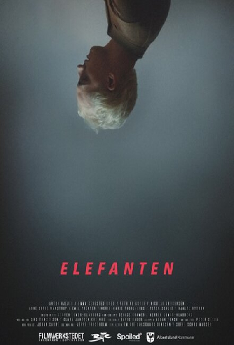 Elefanten