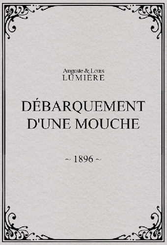 Lyon: Débarquement d'une mouche