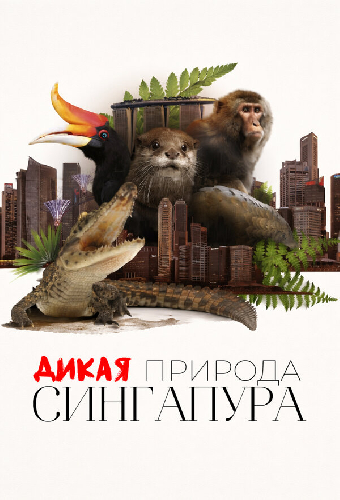 Дикая природа Сингапура