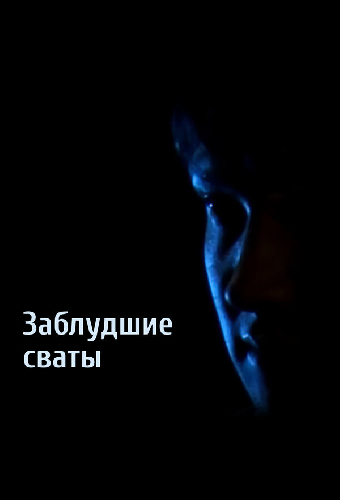 Заблудшие сваты