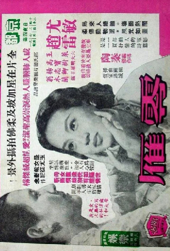 零雁
