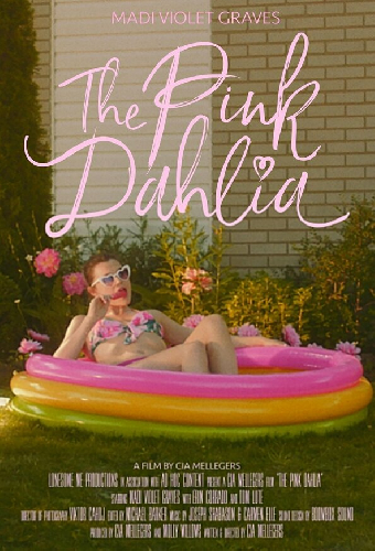The Pink Dahlia