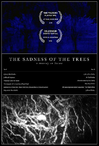 The Sadness of the Trees