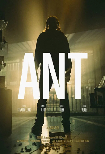 Ant