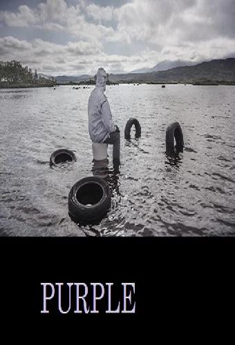 Пурпур