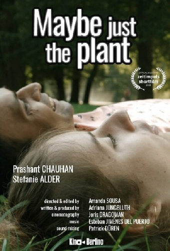 Maybe just the plant