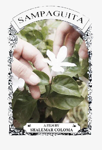 Sampaguita