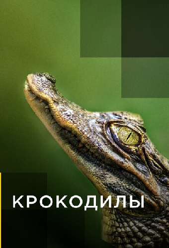 Крокодилы