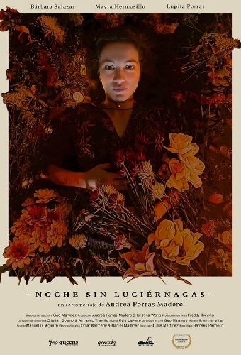 Noche Sin Luciérnagas