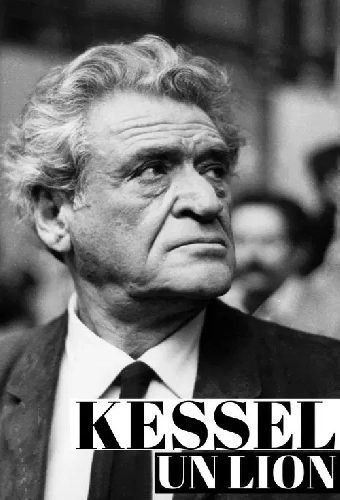 Kessel, un lion