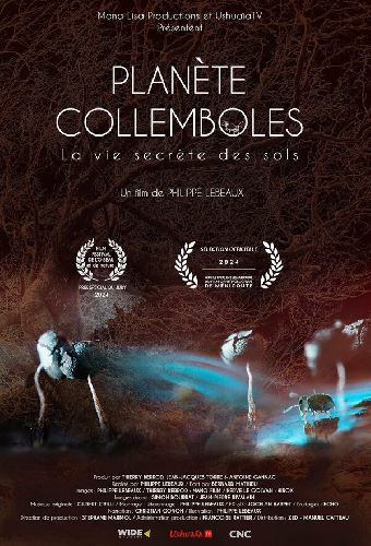 Planète collemboles: la vie secrète des sols