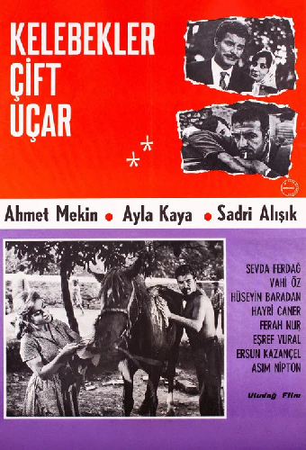 Kelebekler Çift Uçar