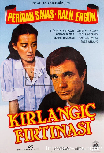 Kırlangıç Fırtınası