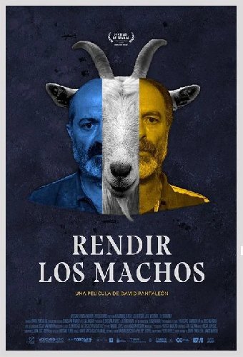 Rendir los machos