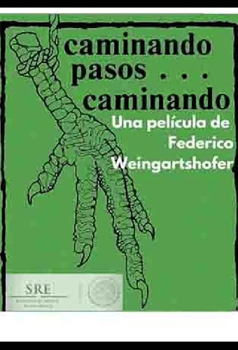 Caminando pasos... caminando
