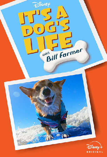 It's A Dog's Life