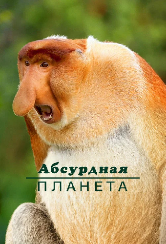 Абсурдная планета