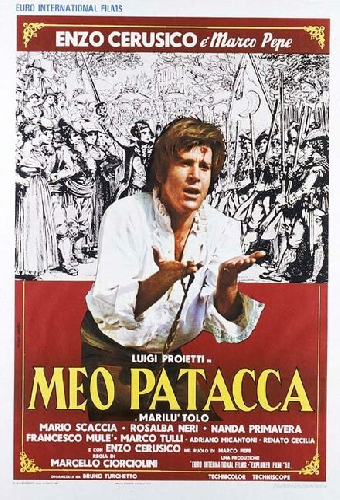 Мео Патакка