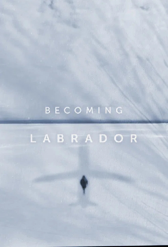 Becoming Labrador